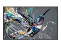 Philips 75BDL3550Q - Classe de diagonale 75" (74.5" visualisable) - Q-Line écran LCD rétro-éclairé par LED - signalisation numérique - Android - 4K UHD (2160p) 3840 x 2160 - LED à éclairage direct 75BDL3550Q/00