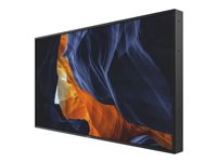 Philips Signage Solutions H-Line 55BDL3002H - Classe 55" écran DEL - signalisation numérique - 1080p (Full HD) 1920 x 1080 55BDL3002H/00